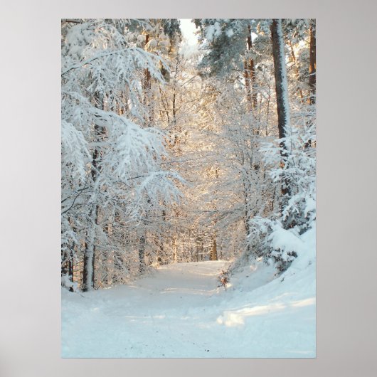 Poster Route d'hiver (Devant)