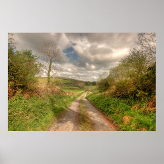 Poster Route d'Irlande rurale