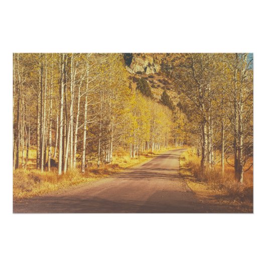 Poster Route d'or (Devant)