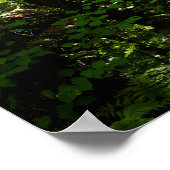 Poster Route forestière 5 (Coin)