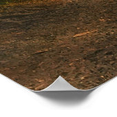 Poster Route forestière enchantée (Coin)