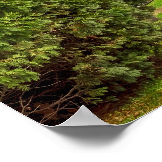 Poster Route rurale (Coin)