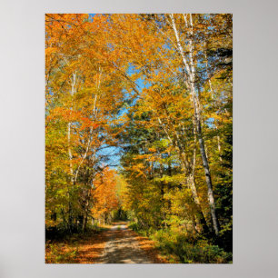 Poster Route rurale couleurs d'automne New Hampshire