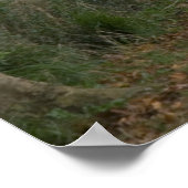 Poster Route rurale de terre à proximité de la ville de (Coin)