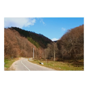 Poster Route sinueuse à travers la forêt – Nature sauvage