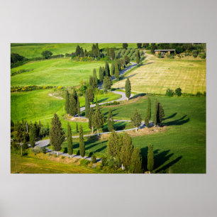 Poster Route sinueuse bordée de cyprès en Toscane