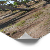 Poster Route vers le paradis Rangiroa (Coin)