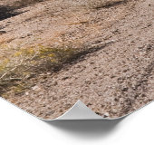 Poster Route vers les Sierras (Coin)