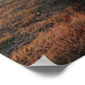 Poster Route vers Tatras (Coin)