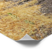 Poster Routes de Cappadoce (Coin)