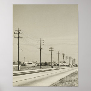 Poster Row of Electricity Poles