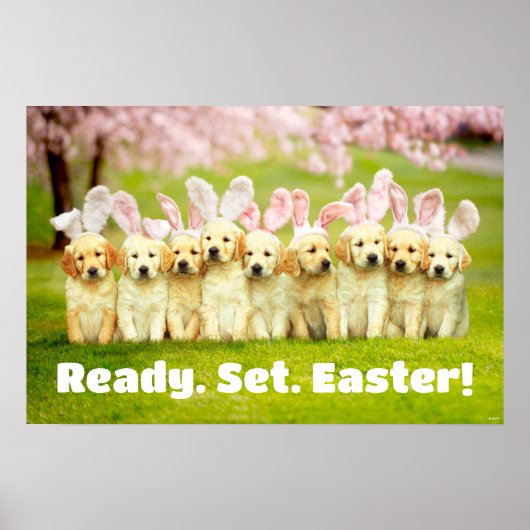 Poster Row of Puppy Bunnies (Devant)