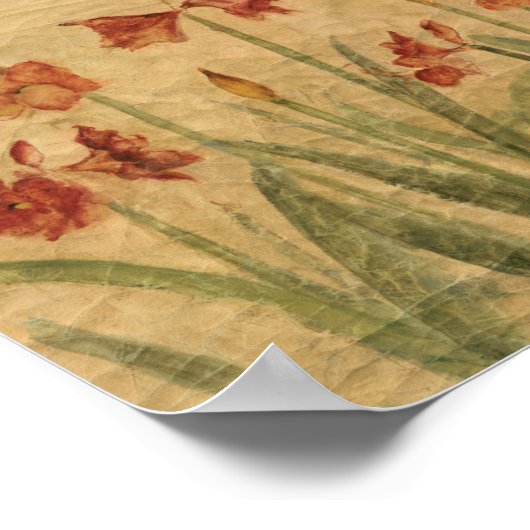 Poster Row of Red Amaryllis (Coin)