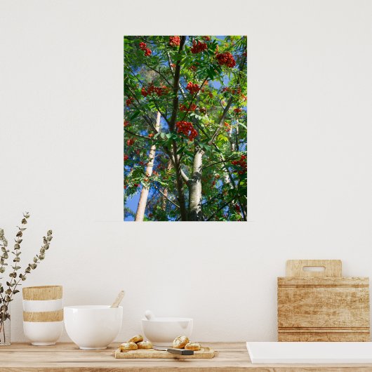 Poster Rowan (Cuisine)