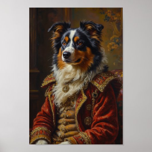 Poster Royal Australian Shepherd Portrait (Devant)