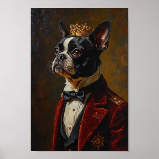 Poster Royal Boston Terrier Portrait (Devant)