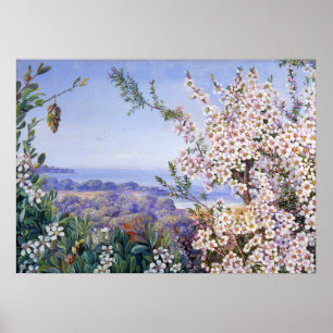 Poster Royal Botanic par Marianne North