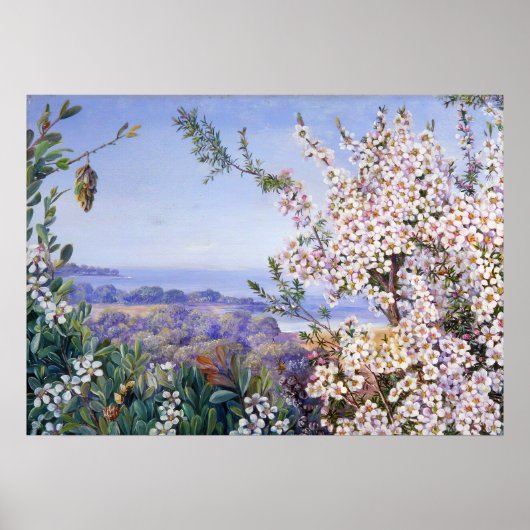 Poster Royal Botanic par Marianne North (Devant)