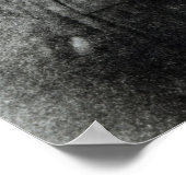 Poster Royal Family (Coin)