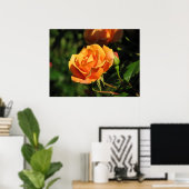 Poster Royal Sunset Hybrid Tea Rose 016 (Bureau à domicile)