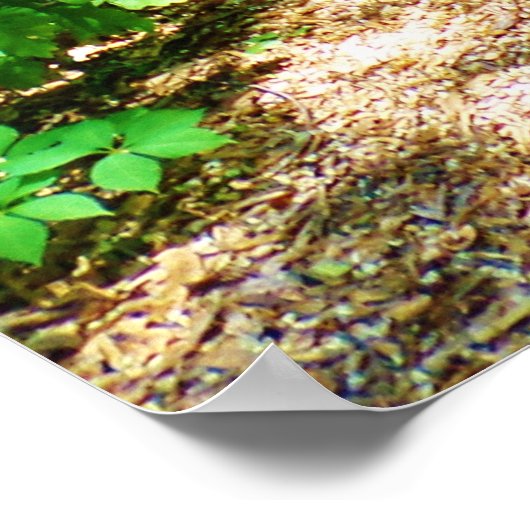 POSTER ROYAUME DE DIEU (Coin)