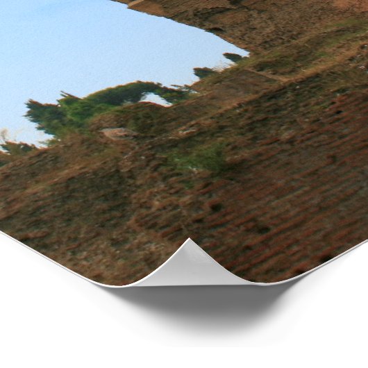 Poster Royaume des mouettes (Coin)