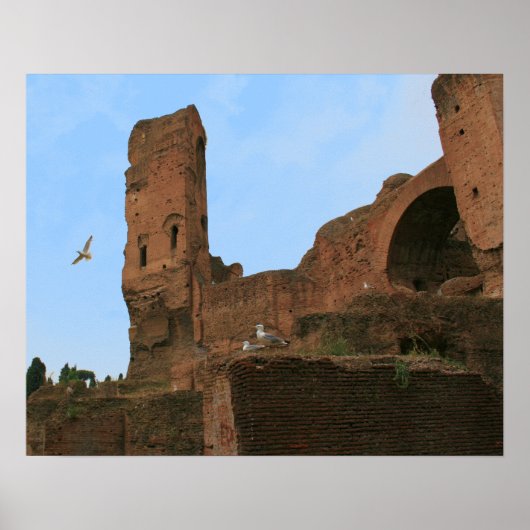 Poster Royaume des mouettes (Devant)