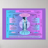 Poster royaumes de Worldview (Devant)