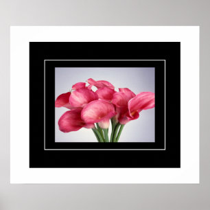 Poster-Roze Calla Lilies Poster