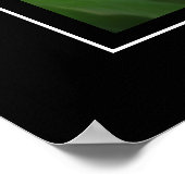 Poster roze tulpen (Hoek)