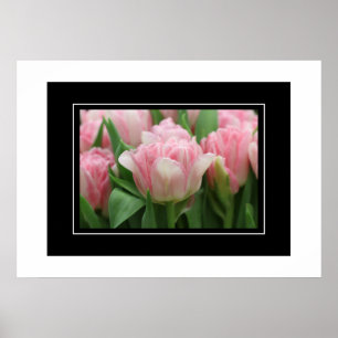 Poster roze tulpen