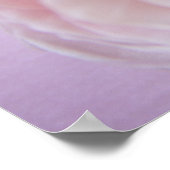 Poster Ruban hydrangea rose (Coin)