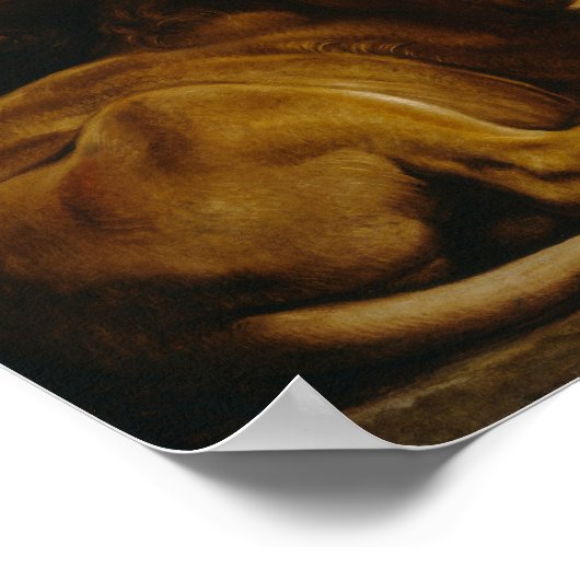 Poster Rubens - Daniel In Lions Den (Coin)