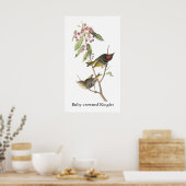 Poster Ruby couronné Kinglet, John Audubon (Cuisine)