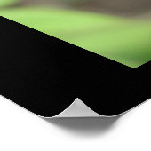 Poster Ruby Red Zinnia (Coin)