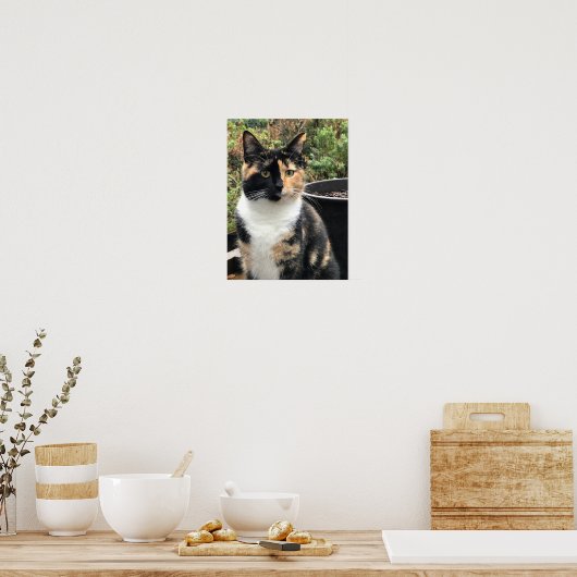 Poster Ruby The Big Kitten, 20 mois (Cuisine)