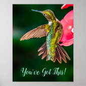 Poster Ruby Throated Hummingbird Vous avez cette citation (Devant)