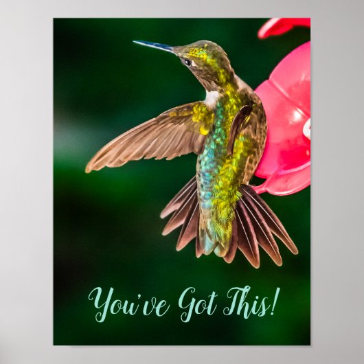 Poster Ruby Throated Hummingbird Vous avez cette citation (Devant)