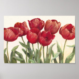Poster Ruby Tulips