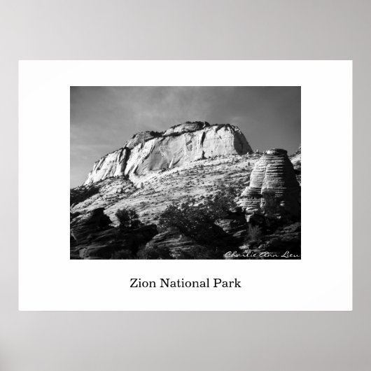 Poster ruche et monolithe (Devant)