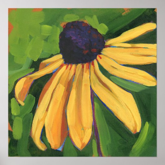 Poster Rudbeckia à grandes fleurs (Devant)