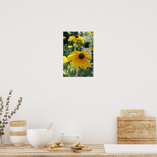Poster "Rudbeckia Bloom" (Cuisine)