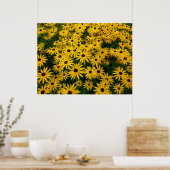 Poster Rudbeckia Hirta (Susans aux yeux noirs) (Cuisine)