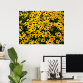 Poster Rudbeckia Hirta (Susans aux yeux noirs) (Bureau à domicile)