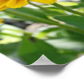 Poster "Rudbeckia Rising" (Coin)