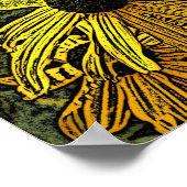 POSTER RUDBECKIAS (Coin)