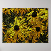 POSTER RUDBECKIAS (Devant)
