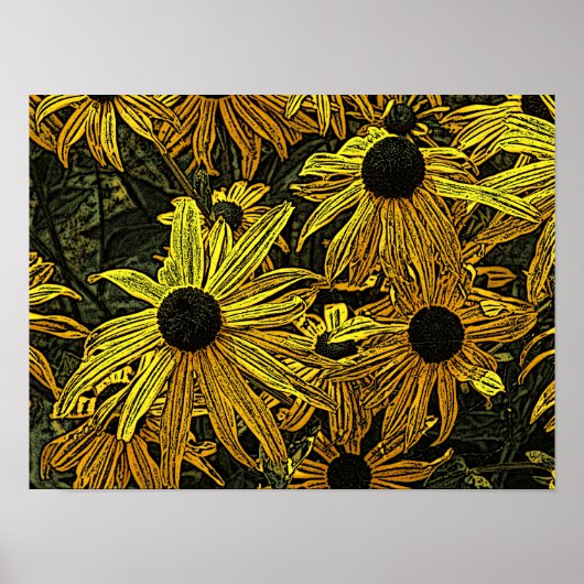 POSTER RUDBECKIAS (Devant)