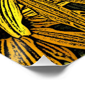 POSTER RUDBECKIAS (Coin)