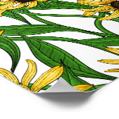 Poster Rudbekia jaune sur blanc (Coin)